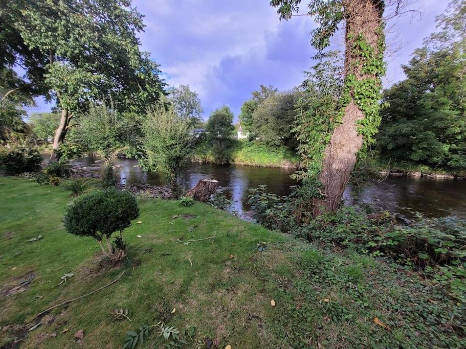 Riverside Bungalow - Direct River Access! Ystradgynlais Eksteriør billede